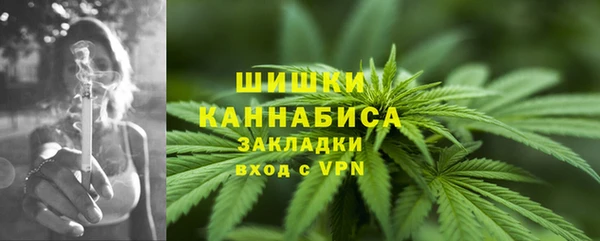 прущий лед Дмитриев