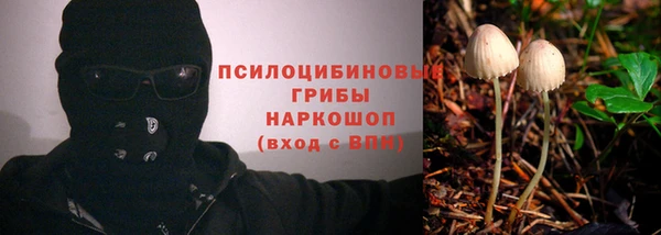 каннабис Дмитров