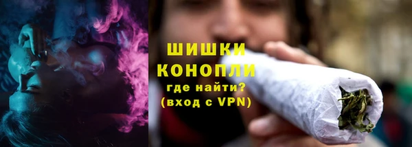 прущий лед Дмитриев