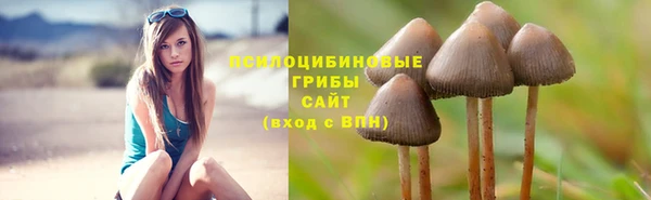 каннабис Дмитров