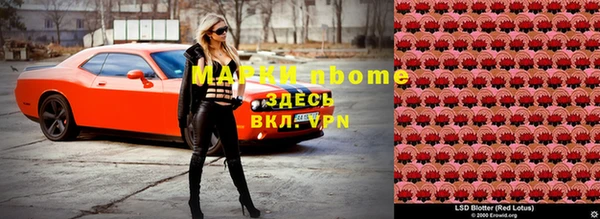 прущий лед Дмитриев