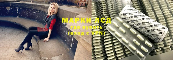 прущий лед Дмитриев
