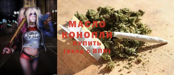 прущий лед Дмитриев