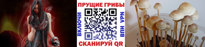 Галлюциногенные грибы мухоморы  Купить  Ряжск 
